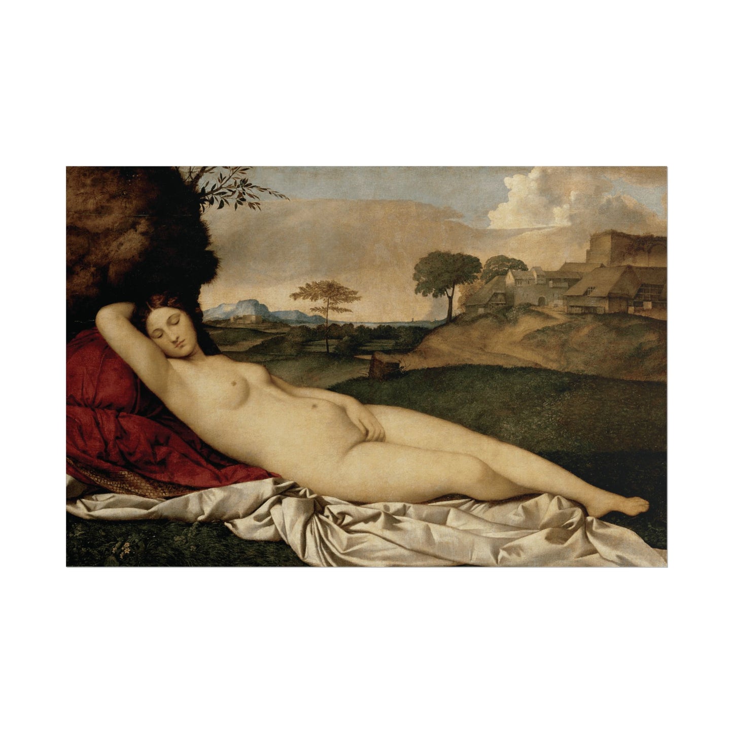 Sleeping Venus Reproduction