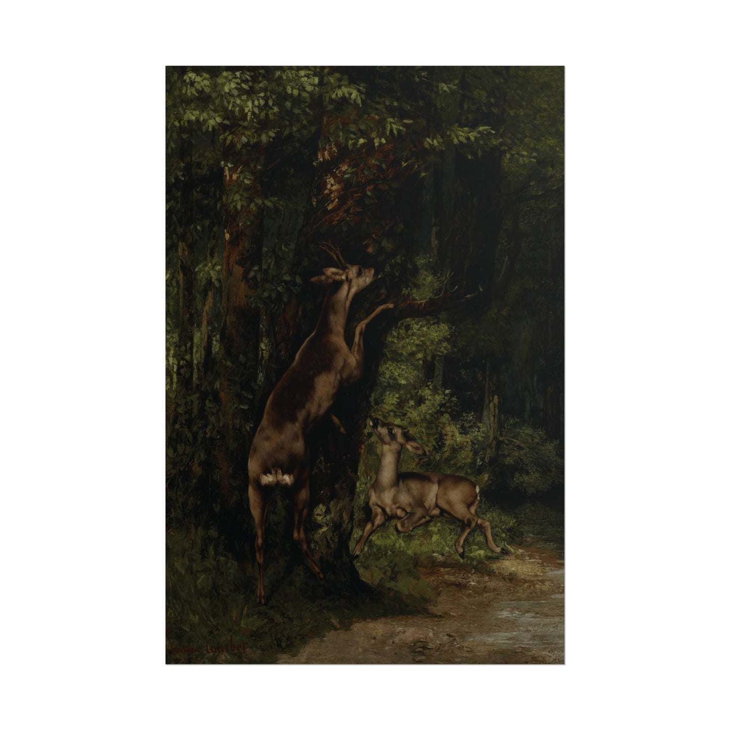Deer in the Forest Reproduction