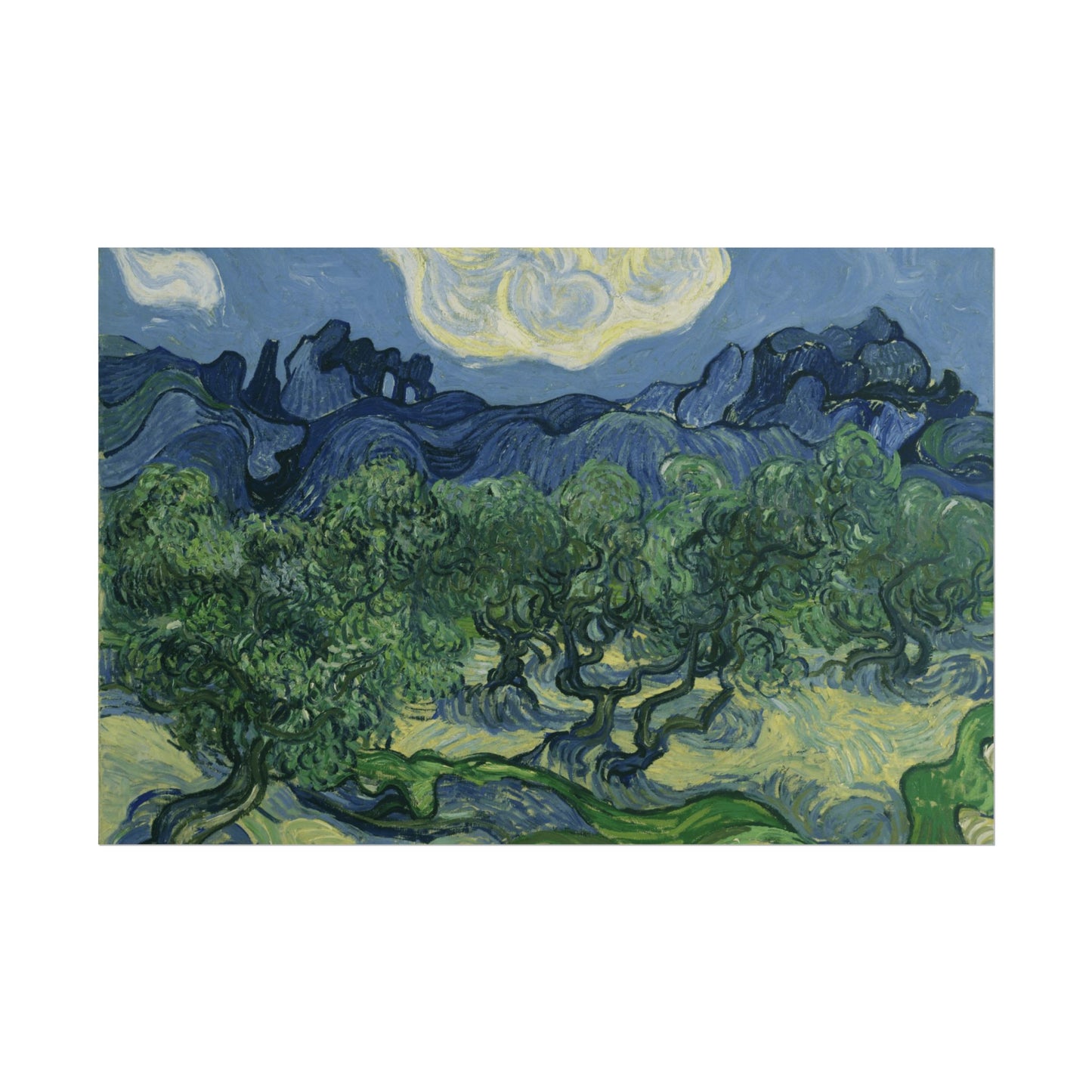 The Olive Trees Reproduction