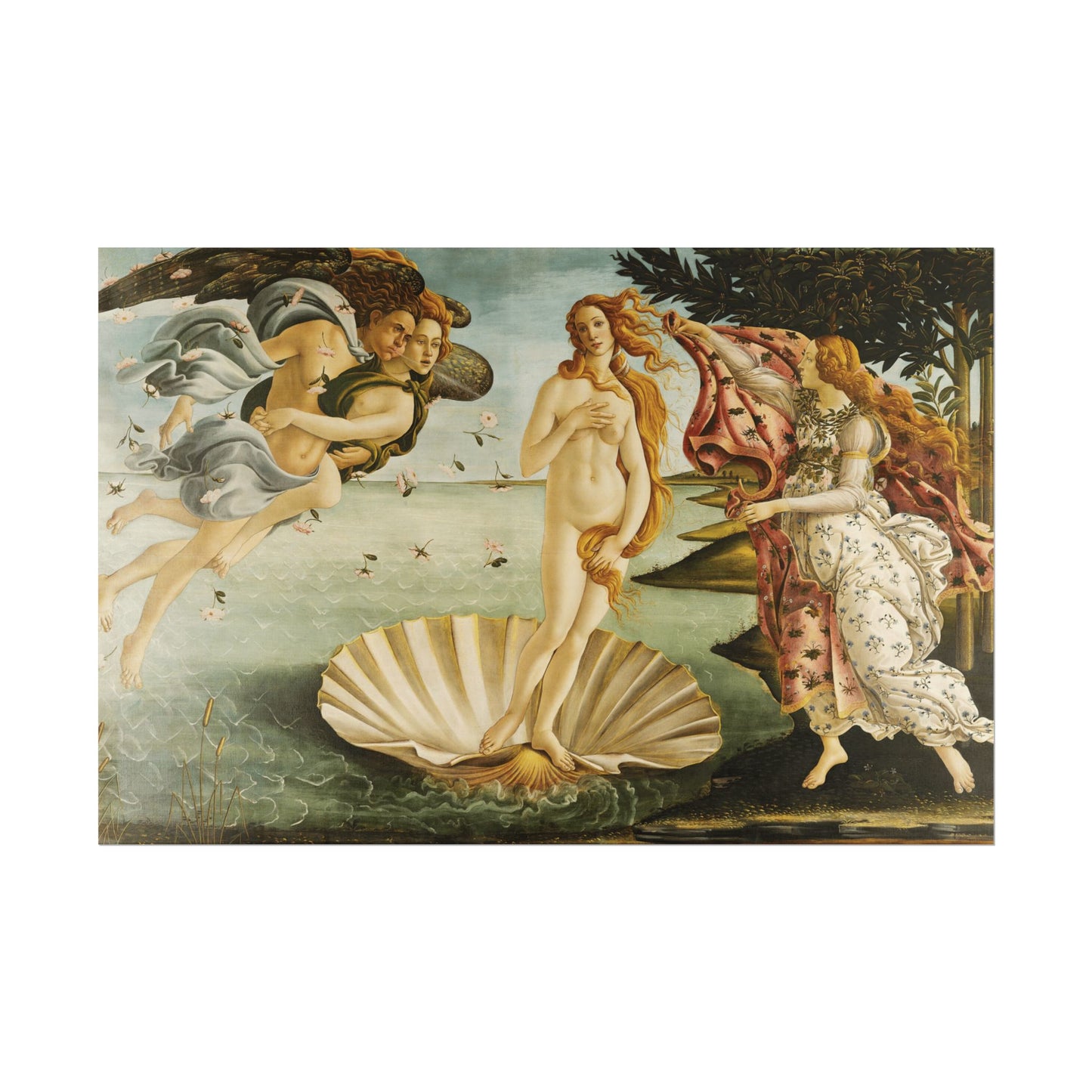 The Birth of Venus Reproduction