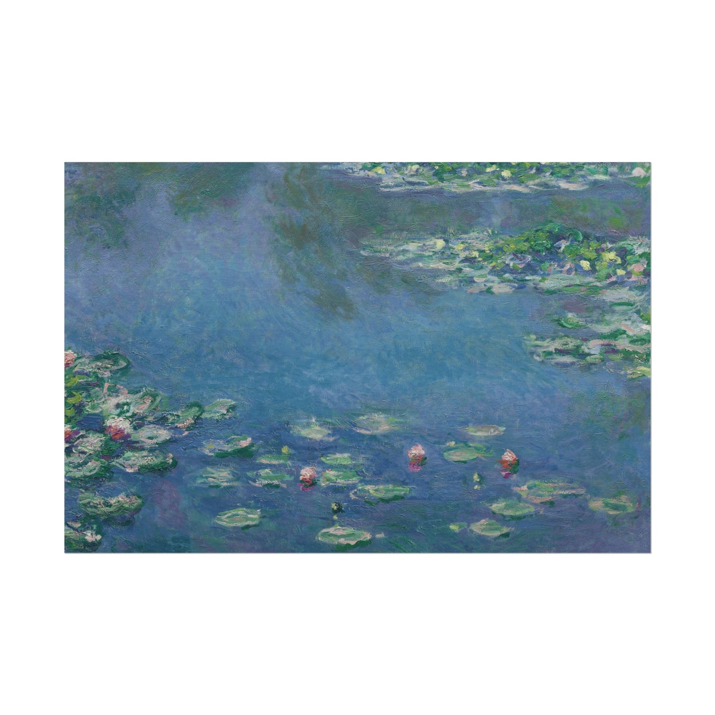 Water Lilies Reproduction