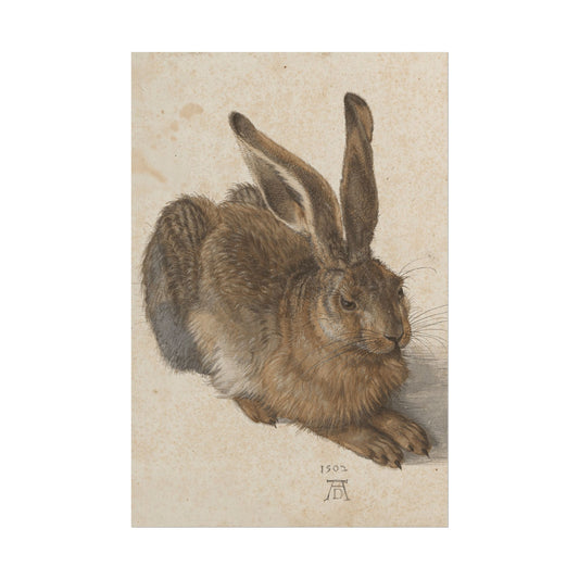 Young Hare Reproduction