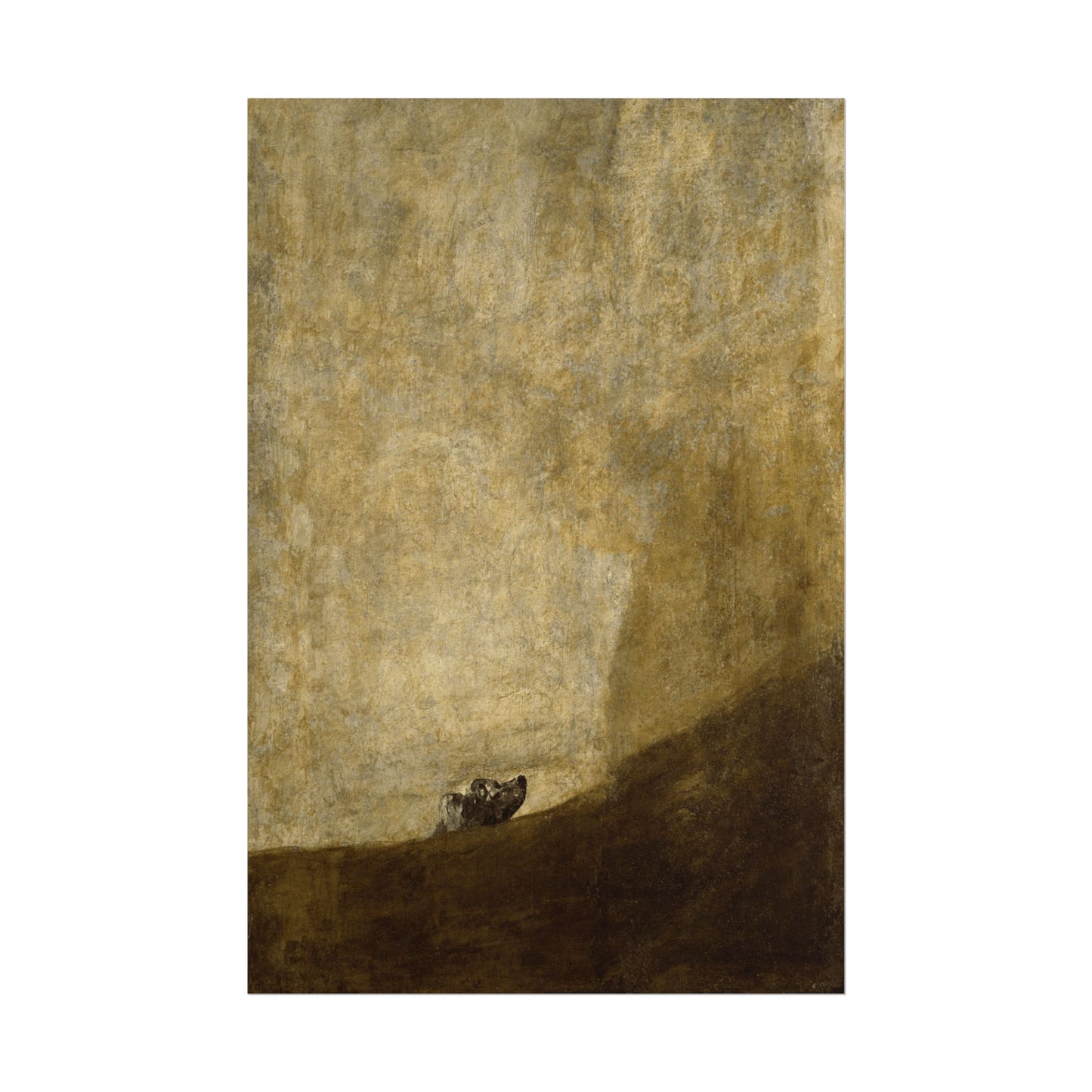 The Dog Reproduction