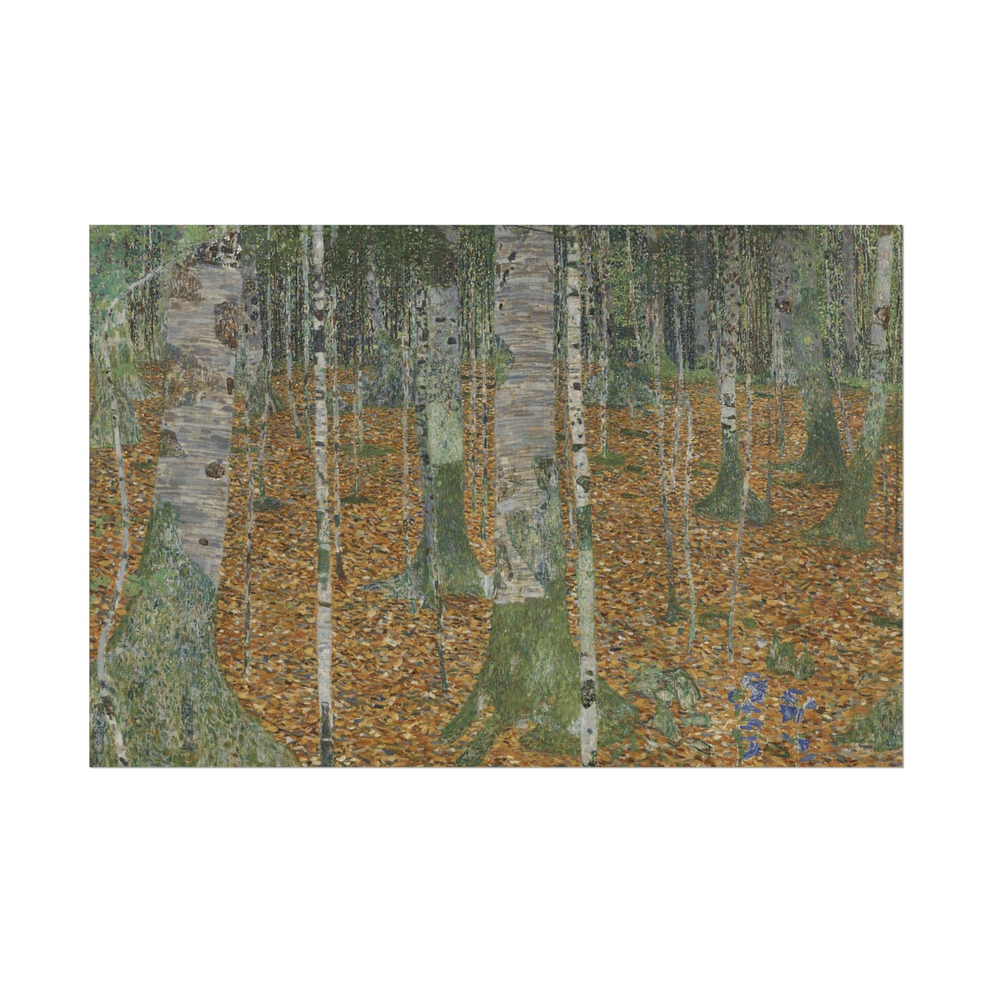 Birches Reproduction