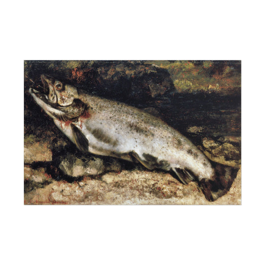 The Trout Reproduction