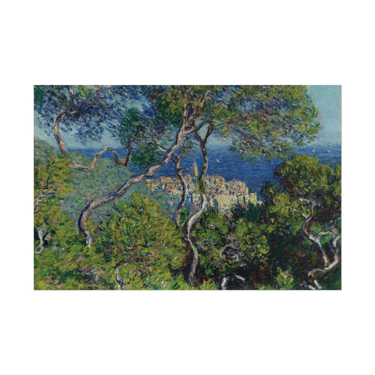 Bordighera Reproduction