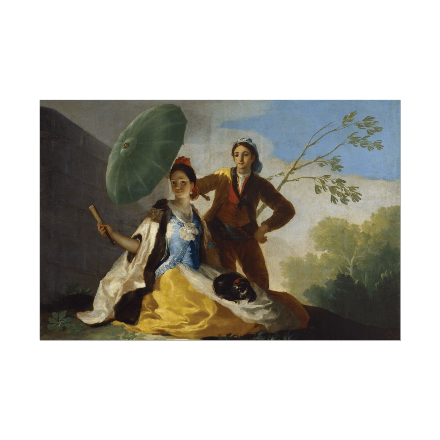 The Parasol Reproduction