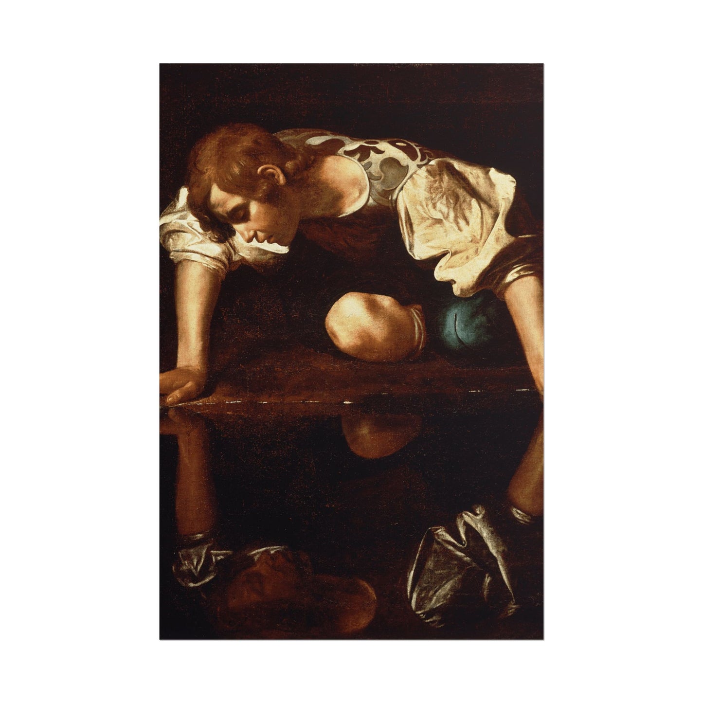 Narcissuss Reproduction